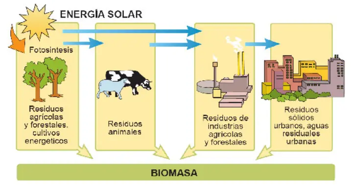 biocombustibles y uso energetico de la biomasa - Qué son los biocombustibles y la biomasa