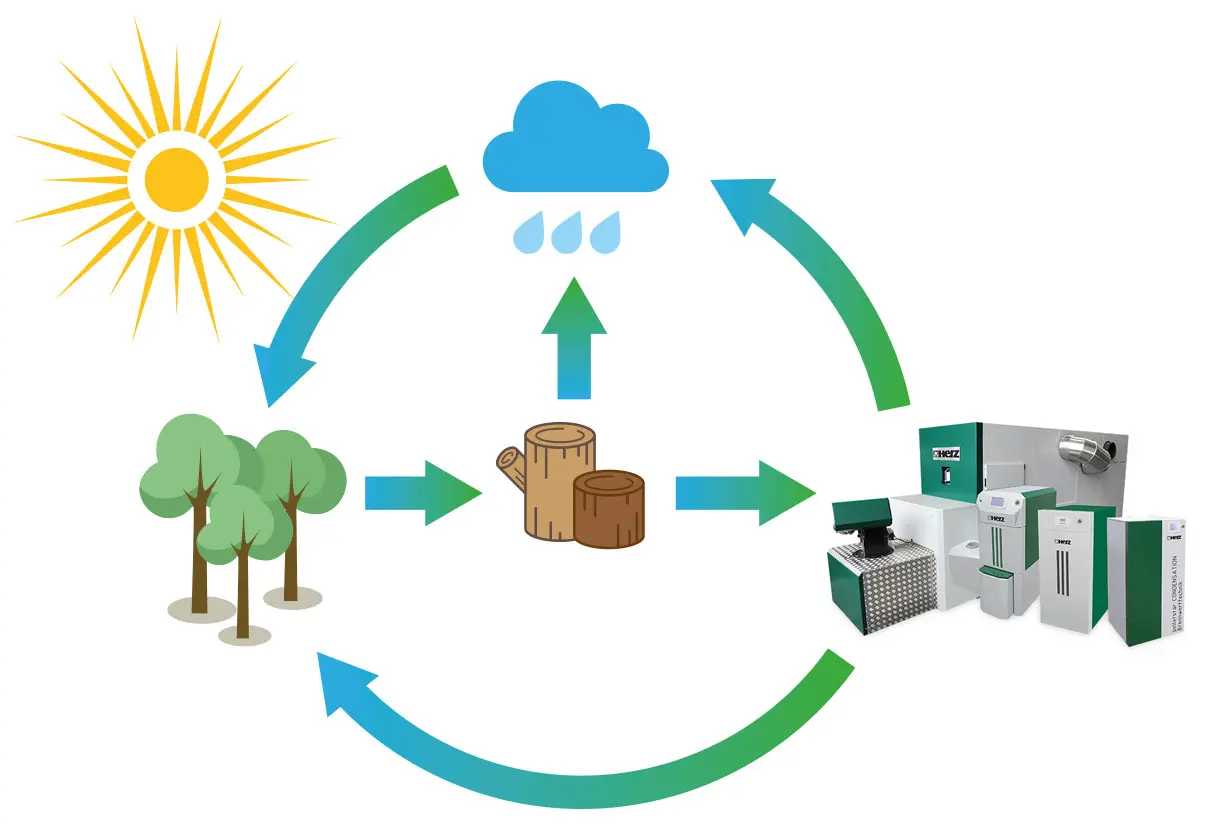 biomasa empresas de servicios energéticos - Qué son los servicios energéticos