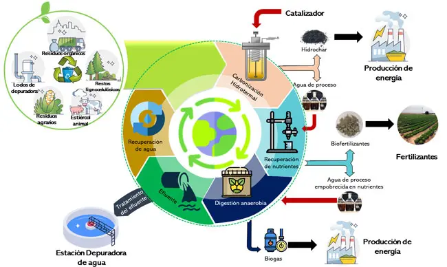 residuos biomásicos - Qué son residuos biológicos