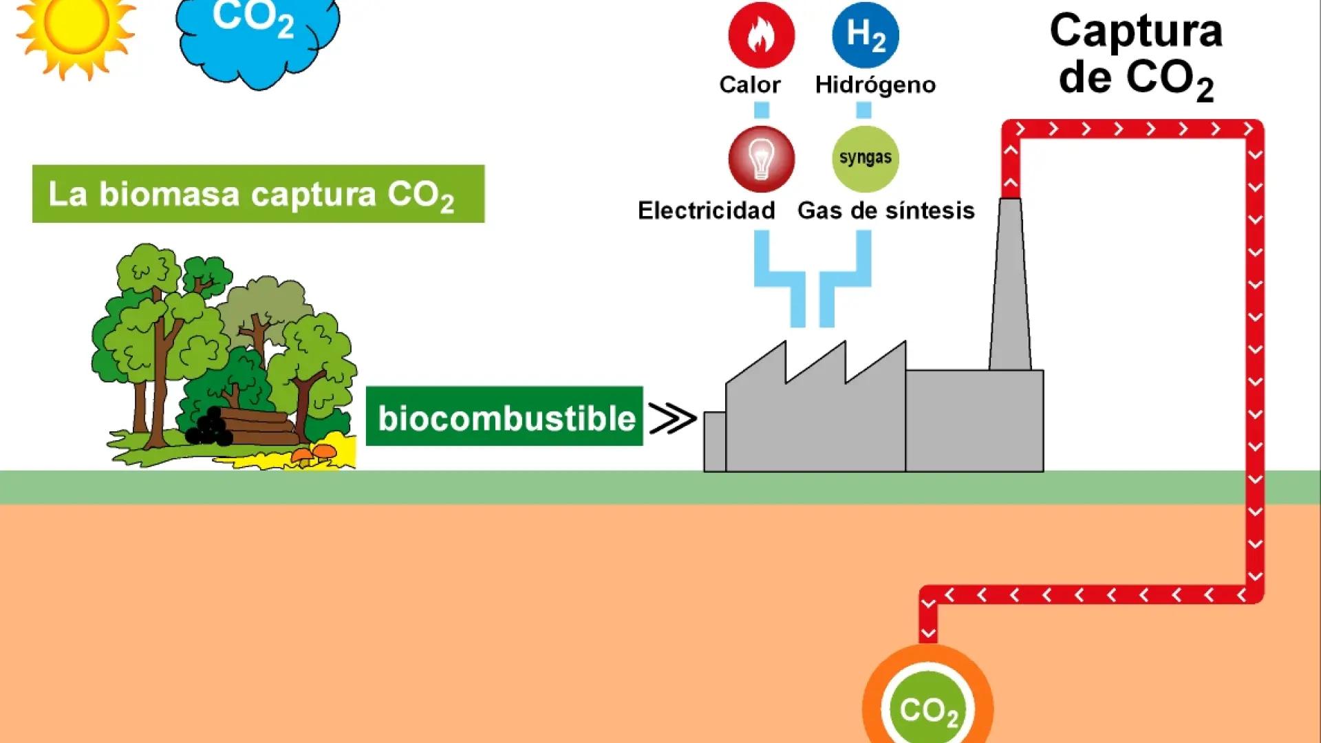 aumento de carbono combustion biomasa - Qué sucede cuando se quema el combustible en exceso y produce dióxido de carbono