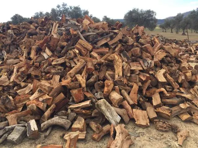 alcornoque con corcho para chimenea estufa - Qué tal es la leña de nogal