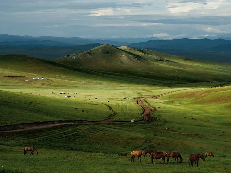 nivells de biomasa de la pradera y esteñpa - Qué tipo de bioma es pradera