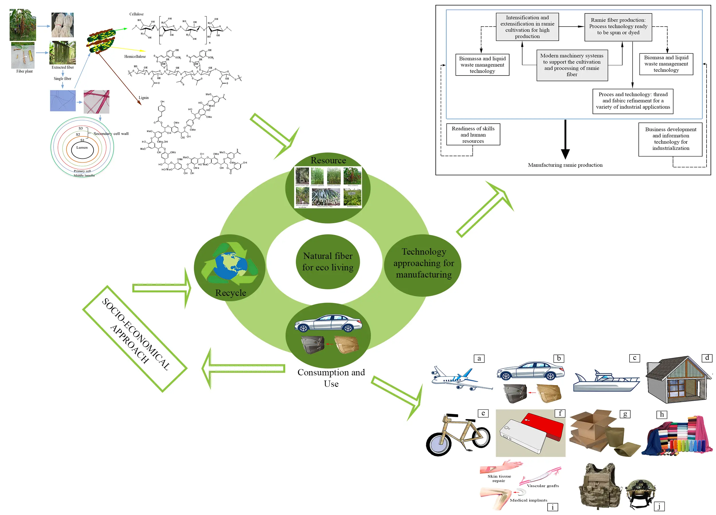 pentosa biomasa - Qué tipo de Biomolecula es la pentosa