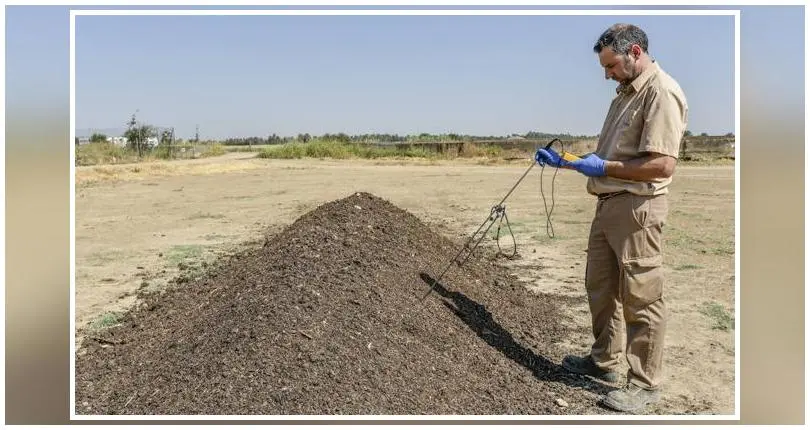 Cenizas de Biomasa: Un Tesoro Oculto para el Suelo - Qué tipo de ceniza es buena para las plantas cenizas de biomasa como fertilizante - Qué tipo de ceniza es buena para las plantas