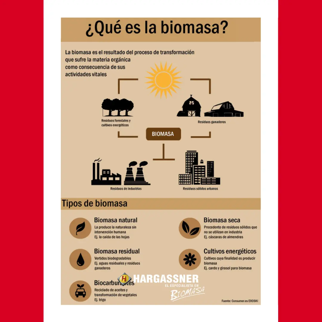 que efectos tienen los residuos ganaderos en la energia biomasa - Qué tipo de energía aportan los residuos ganaderos