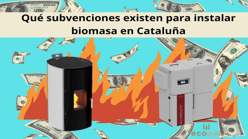 ayudas instalación renovables biomasa - Qué tipo de energía renovable que se convierte en electricidad tiene mayor subvención