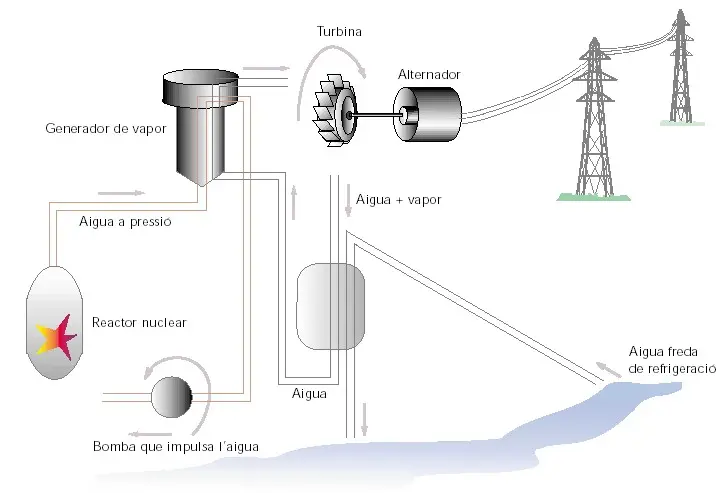 diferencia central de uranio carbón y biomasa - Qué tipo de energía se utiliza en una central nuclear