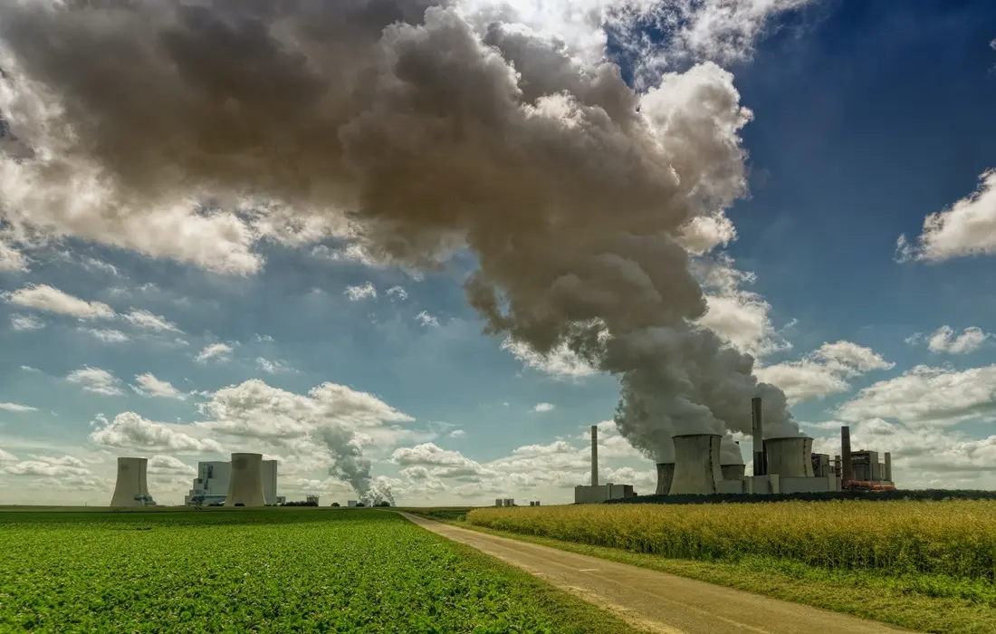 gases procedentes de la quema de biomasa - Qué tipo de gas se desprende al quemar combustible