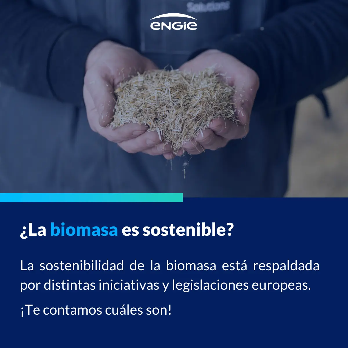 Biomasa: ¿Energía Renovable o No? La Legislación Española - Qué tipos de energías renovables existen en España biomasa renovable o no legislación españa - Qué tipos de energías renovables existen en España