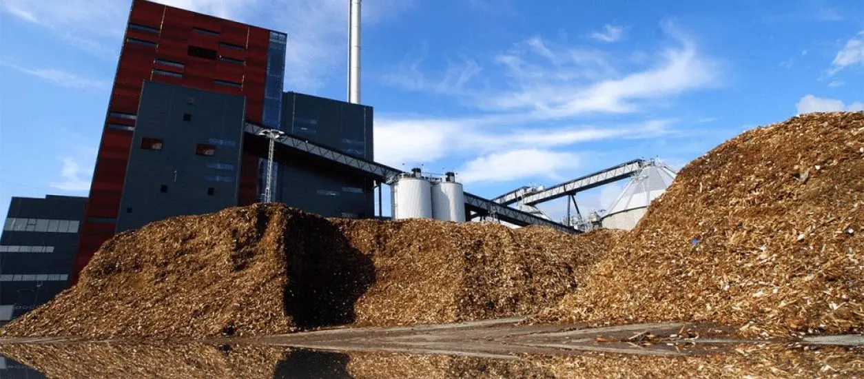 cambio de las centrales térmicas a biomasa - Qué transformacion de energía se produce en una central termica