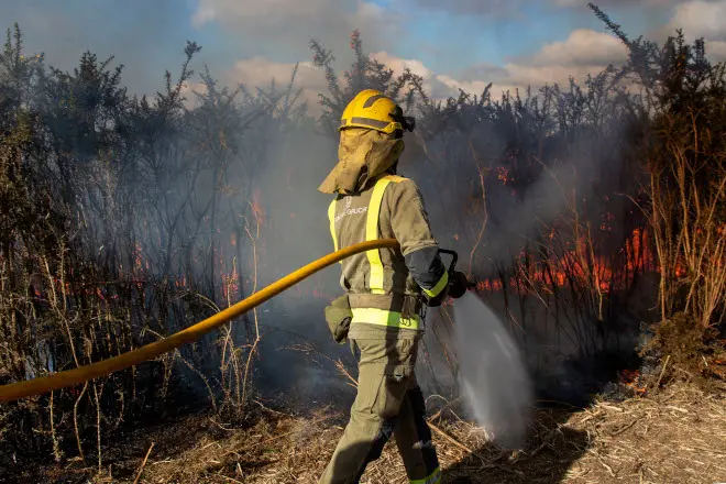 galicia que es gestión de biomasa protección defensa incendios forestales - Quién protege los incendios forestales