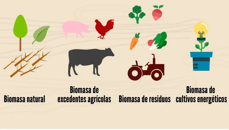 biomasa produccion animal - Se puede producir biomasa a partir de animales