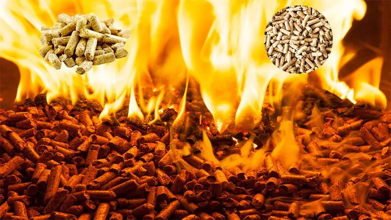 pellets for burning - What are pellets for burning