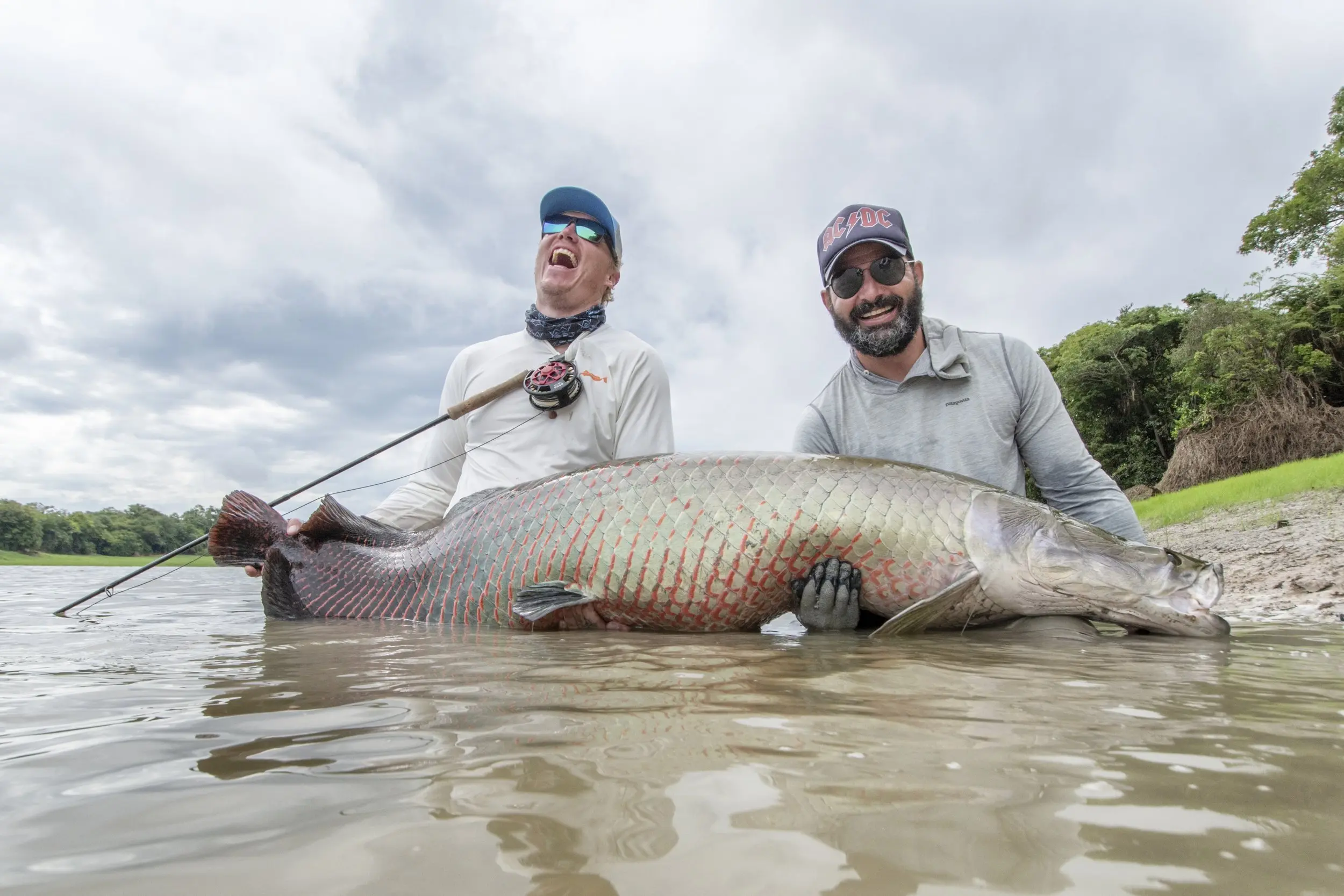 balls pellets arapaima fishing - What is the best bait for arapaima