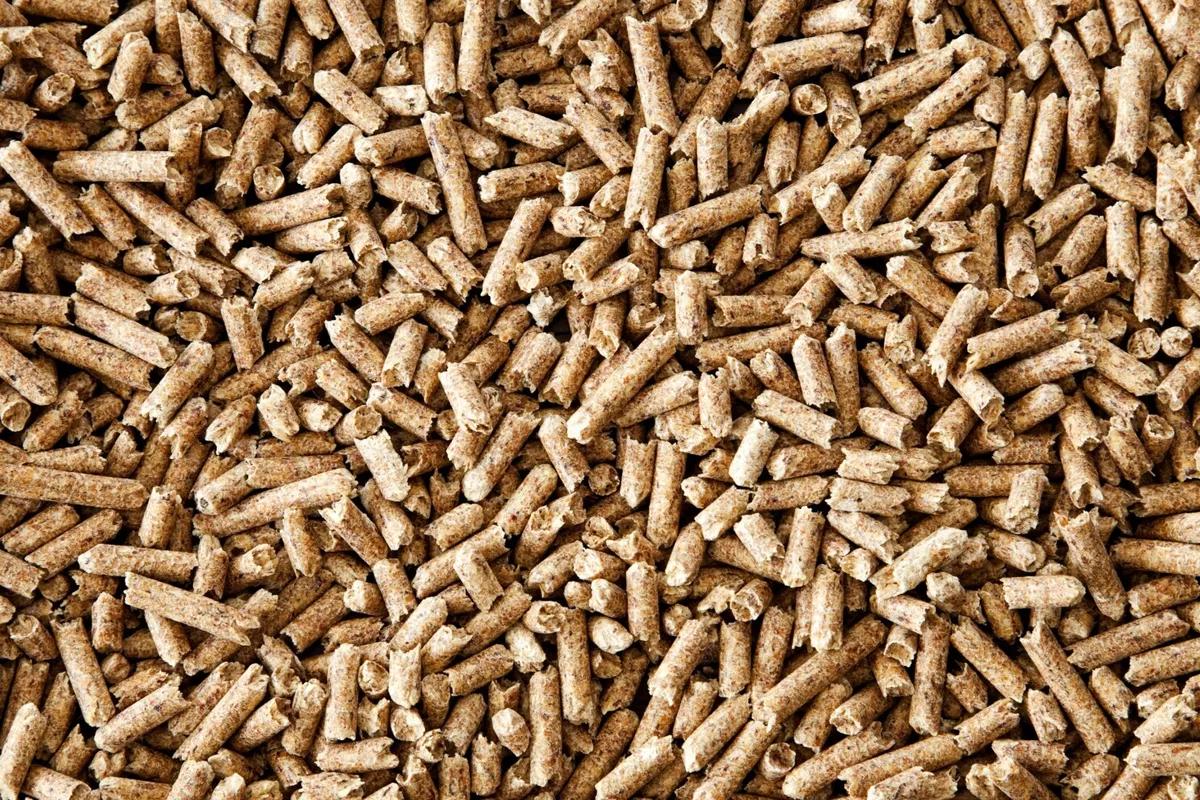 wood pellet for horse bedding - What is the best wood for horse bedding