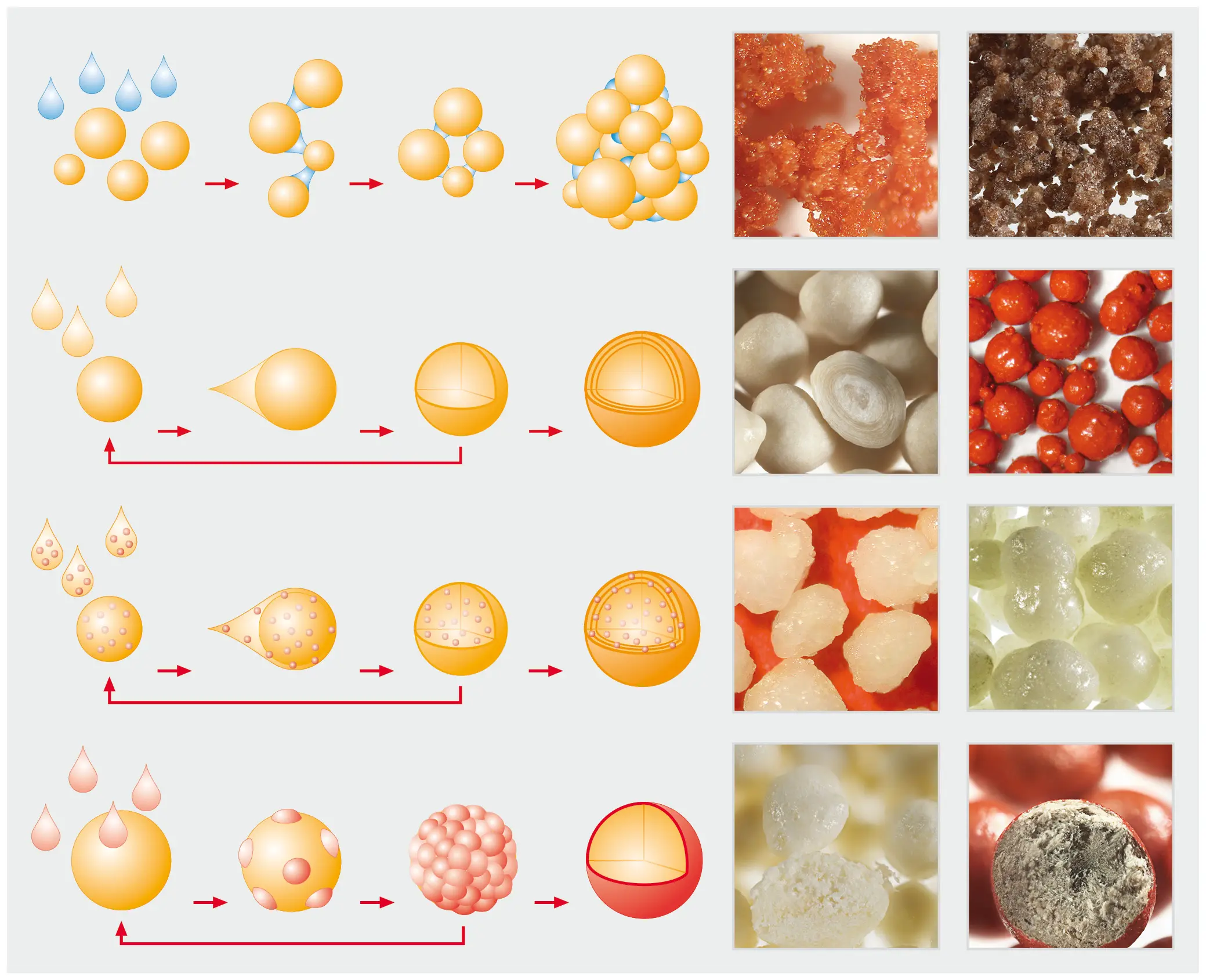 difference between granules and pellets - What is the difference between a grain and a granule