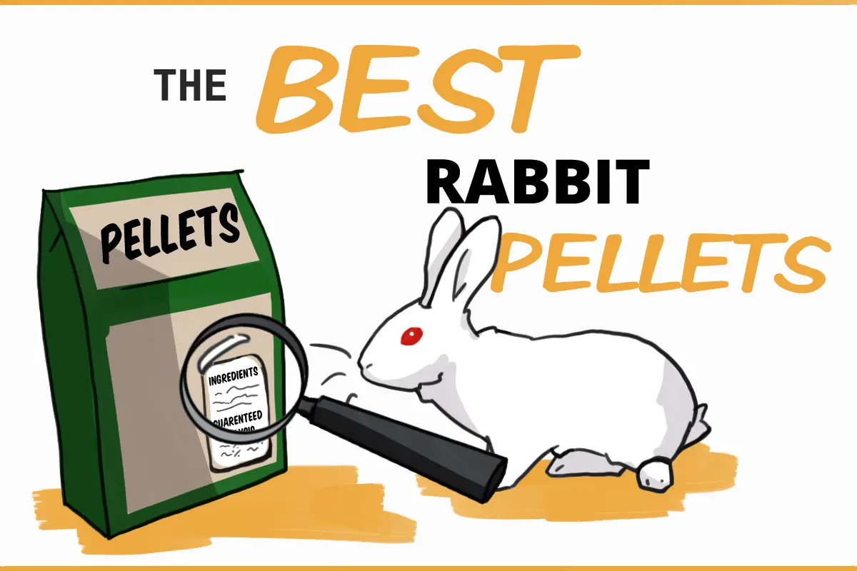 are pellets good for rabbits - What not to feed rabbits