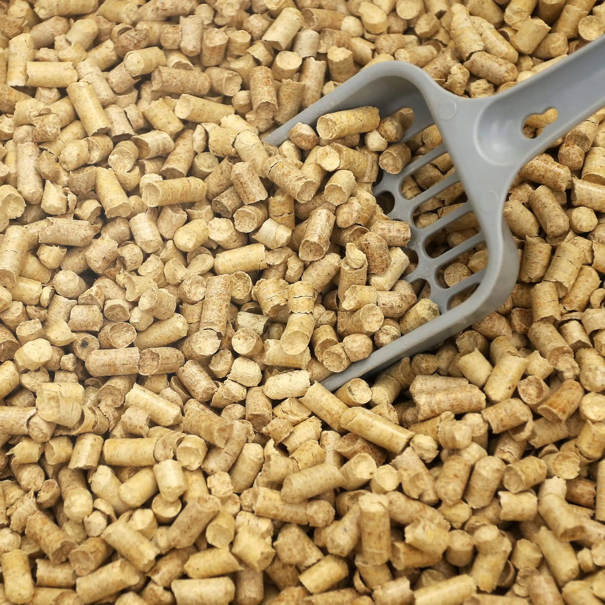 best wood pellets for cat litter - What wood shavings are safe for cat litter