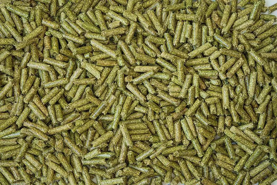 how much alfalfa pellets to feed a horse - Will alfalfa pellets put weight on a horse